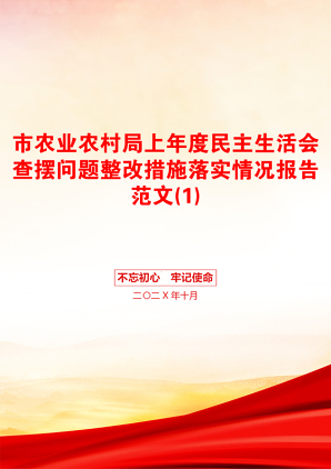 市农业农村局上年度民主生活会查摆问题整改措施落实情况报告范文(1)