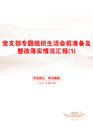 党支部专题组织生活会前准备及整改落实情况汇报(1)