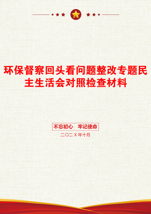 环保督察回头看问题整改专题民主生活会对照检查材料