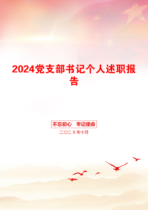 2024党支部书记个人述职报告