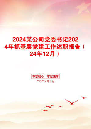 2024某公司党委书记2024年抓基层党建工作述职报告（24年12月）