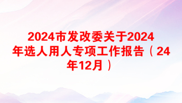 2024市发改委关于2024年选人用人专项工作报告（24年12月）