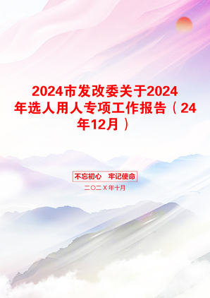 2024市发改委关于2024年选人用人专项工作报告（24年12月）