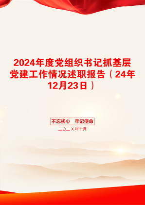 2024年度党组织书记抓基层党建工作情况述职报告（24年12月23日）