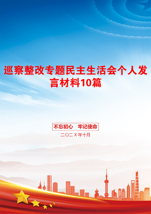 巡察整改专题民主生活会个人发言材料10篇