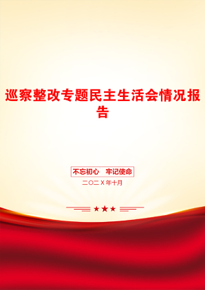 巡察整改专题民主生活会情况报告