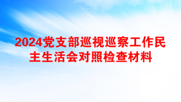 2024党支部巡视巡察工作民主生活会对照检查材料