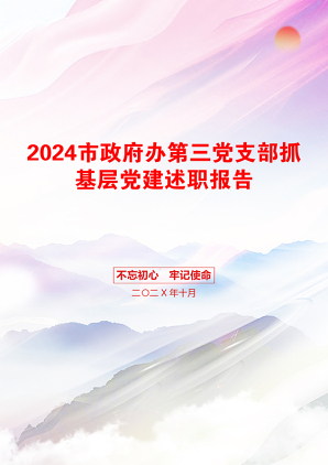 2024市政府办第三党支部抓基层党建述职报告