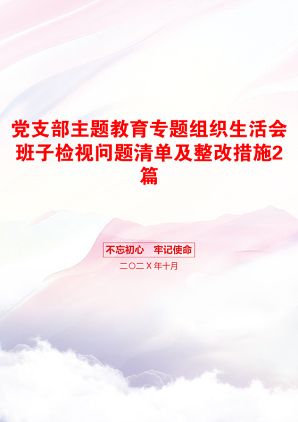 党支部主题教育专题组织生活会班子检视问题清单及整改措施2篇