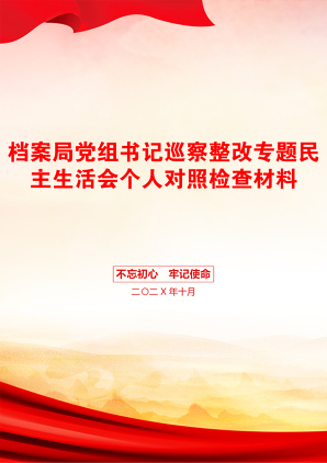 档案局党组书记巡察整改专题民主生活会个人对照检查材料