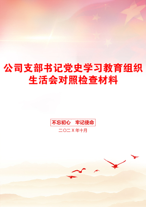 公司支部书记党史学习教育组织生活会对照检查材料