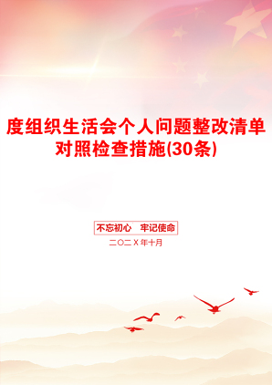 度组织生活会个人问题整改清单对照检查措施(30条)