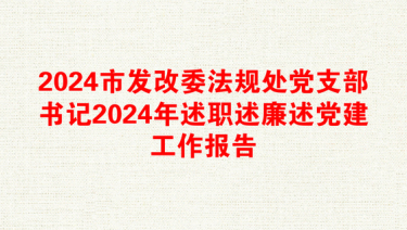 2025处级法官述职述廉报告