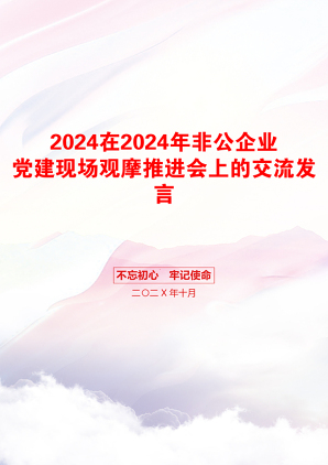 2024在2024年非公企业党建现场观摩推进会上的交流发言