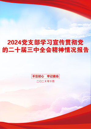 2024党支部学习宣传贯彻党的二十届三中全会精神情况报告