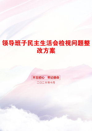 领导班子民主生活会检视问题整改方案