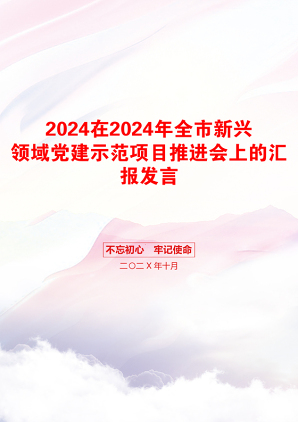 2024在2024年全市新兴领域党建示范项目推进会上的汇报发言