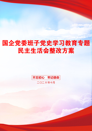 国企党委班子党史学习教育专题民主生活会整改方案