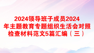 2024领导班子成员2024年主题教育专题组织生活会对照检查材料范文5篇汇编（三）