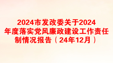 2025党风廉政及工作报告