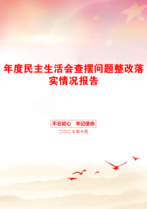 年度民主生活会查摆问题整改落实情况报告