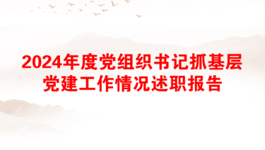 2024年度党组织书记抓基层党建工作情况述职报告