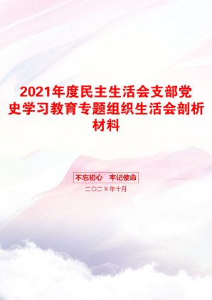 度民主生活会支部党史学习教育专题组织生活会剖析材料