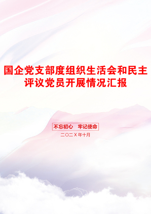 国企党支部度组织生活会和民主评议党员开展情况汇报