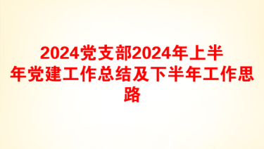 2024党支部2024年上半年党建工作总结及下半年工作思路