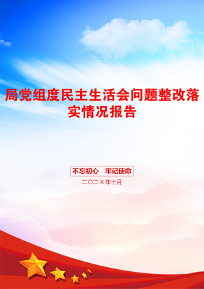 局党组度民主生活会问题整改落实情况报告