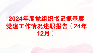 2024年度党组织书记抓基层党建工作情况述职报告（24年12月）