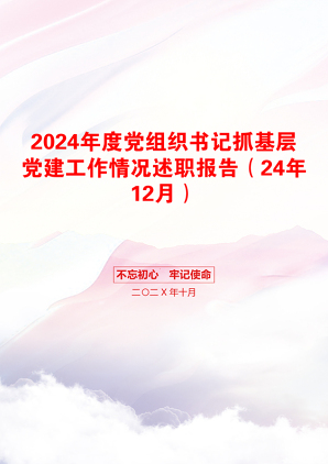 2024年度党组织书记抓基层党建工作情况述职报告（24年12月）