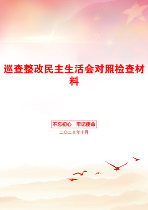 巡查整改民主生活会对照检查材料
