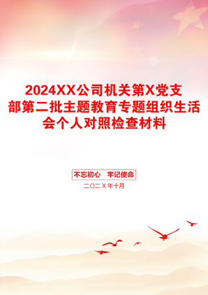 2024XX公司机关第X党支部第二批主题教育专题组织生活会个人对照检查材料