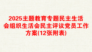 2025主题教育专题民主生活会组织生活会民主评议党员工作方案(12张附表)