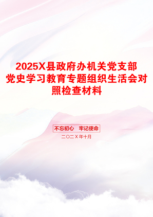 2025X县政府办机关党支部党史学习教育专题组织生活会对照检查材料