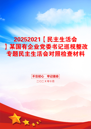 20252021【民主生活会】某国有企业党委书记巡视整改专题民主生活会对照检查材料